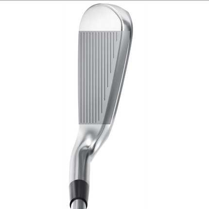 Mizuno JPX 925 Hot Metal HL Irons 5-PW Dynamic Gold Regular 95g R300 Shafts