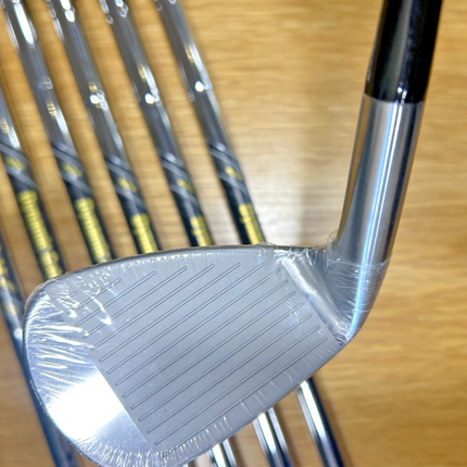 Mizuno Pro 245 5-PW Dynamic Gold Regular Flex R-300 Shafts