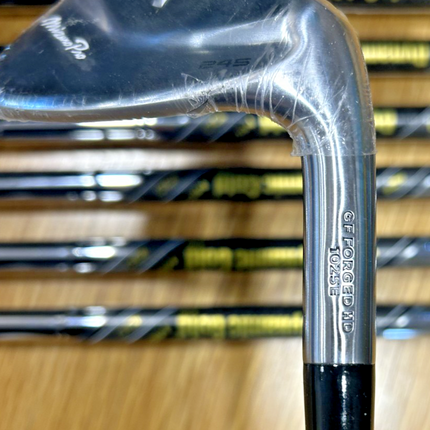Mizuno Pro 245 5-PW Dynamic Gold Regular Flex R-300 Shafts